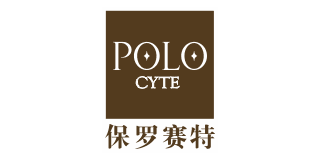 保羅賽特