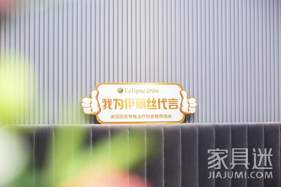 伊麗絲