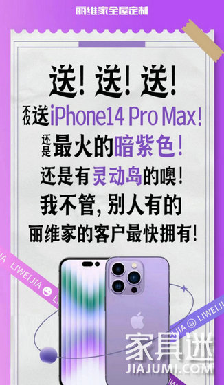 麗維家營銷總結3
