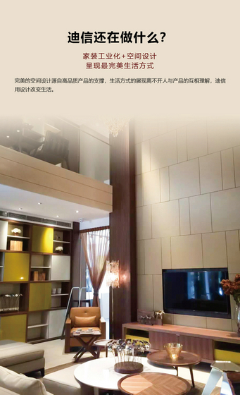 迪信海報3