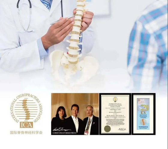 保護脊椎