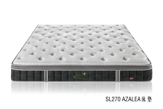 艾上新品┃2022美國艾綠床墊新品閃耀亮相346