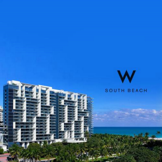 W酒店豪擲近2億瘋狂打CALL，超級游艇都在追捧的藝術家居大牌